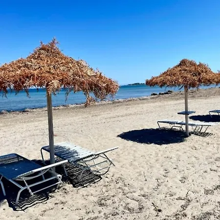 公寓 Alexandra 9 *