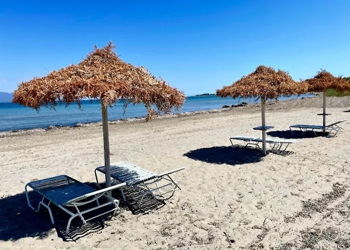 Appartement Alexandra 9 *