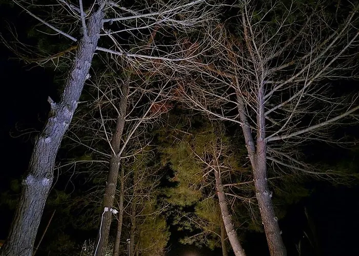 Alexandra 9 Appartement