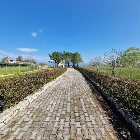 Alexandra 9 Lefkimmi (Corfu)