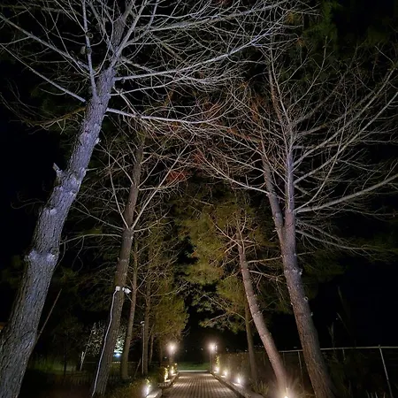 Alexandra 9 Lägenhet